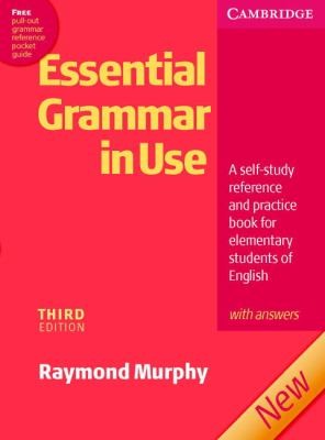  Grammar in Use with Answers A Self Study Reference and Practice Book 