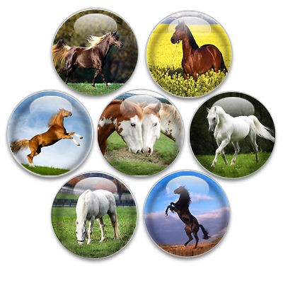 Decorative Push Pins or Magnets   Horses Set of 7
