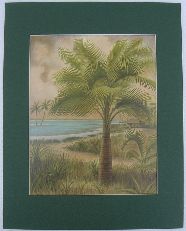 Palm Trees Tropical Ocean Matted Country Picture Print Interior Home 
