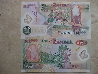   1000 KWACHA UNCI BEAUTIFUL POLYMER BANKNOTE ARMADILLO & FISH EAGLE