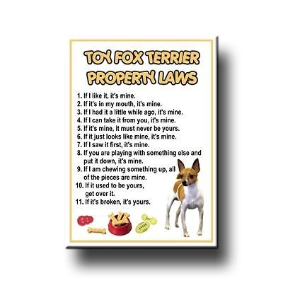 TOY FOX TERRIER Property Laws FRIDGE MAGNET New DOG