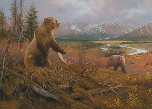 50058 Grizzly Remains Bear 550 Pc Puzzle Artist Hayden Lambson W/Free 