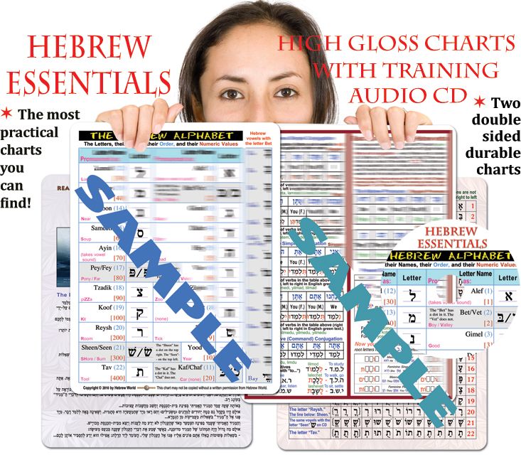 Hebrew Essentials Charts + CD   Grammar, Verbs, Reading