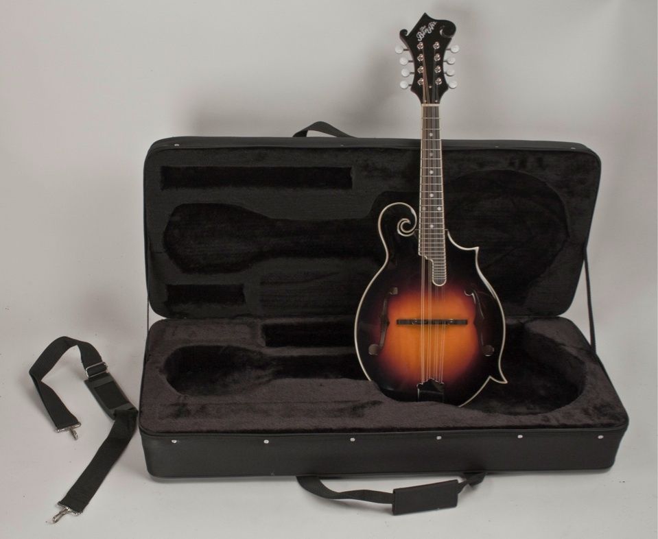 New F Style Mandolin High Quality All Solid Wood Completely Setup Hard 