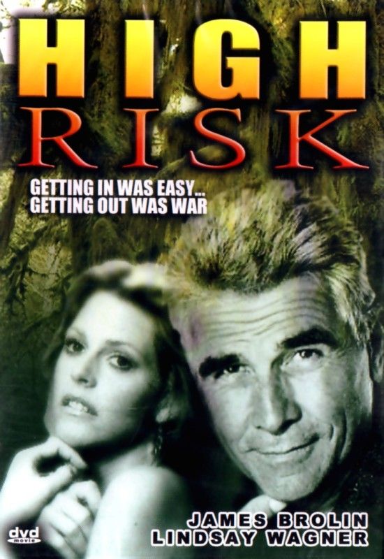 High Risk DVD 2003 James Brolin Lindsay Wagner