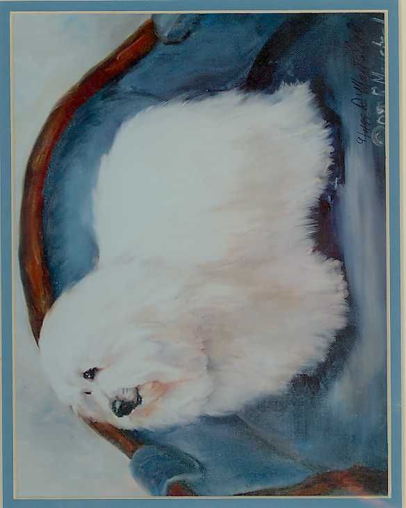 COTON DE TULEAR DOG PRINT signed by Ruth Maystead