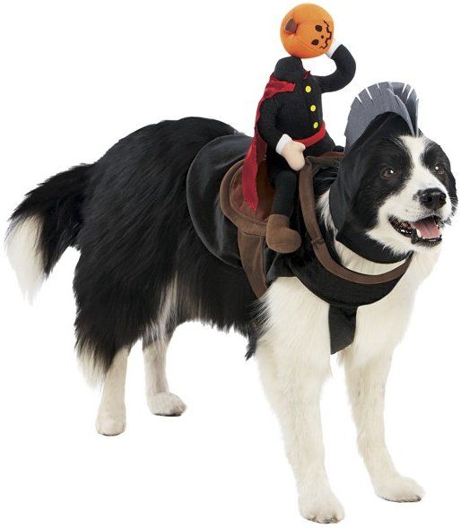 Headless Horseman Pet Rider Halloween Dog Costume Medium and Large
