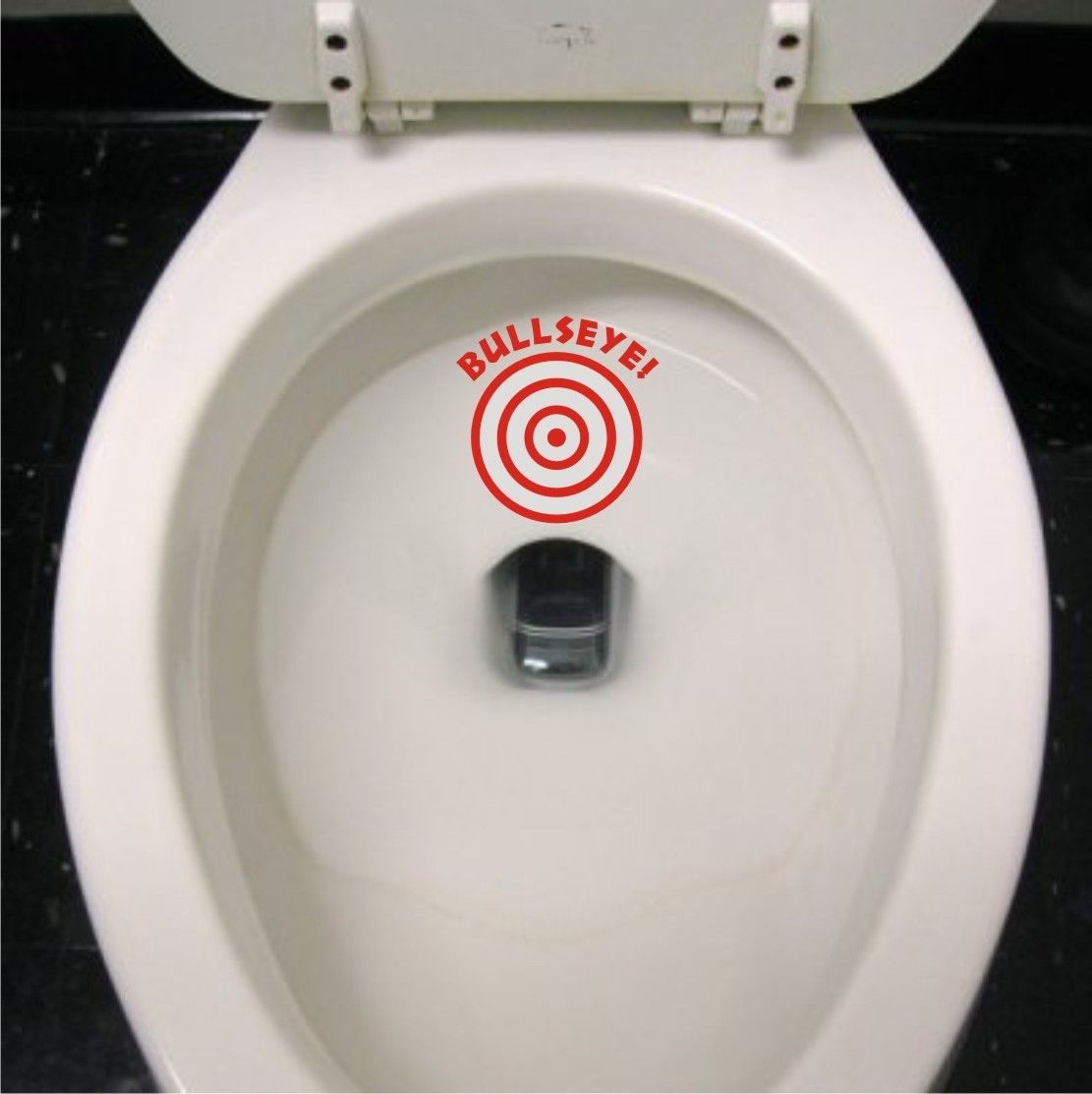 Bullseye Training Target for Toilet Funny Kids Seat