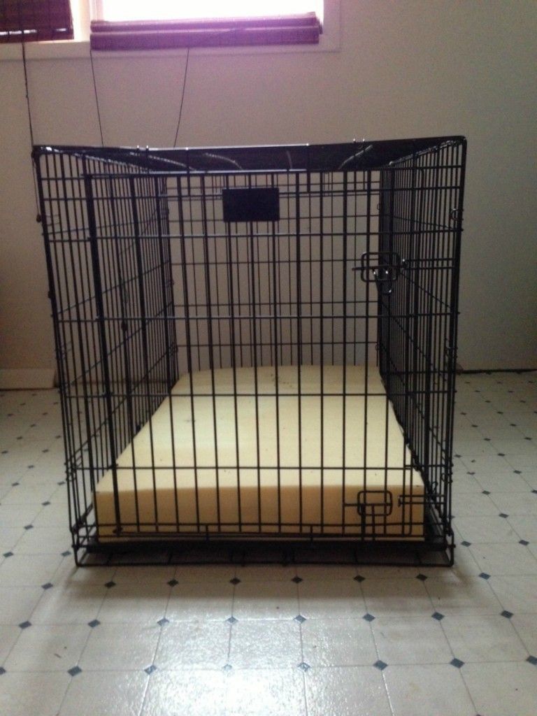 Extra Large Dog Crate •Local Pickup Only•