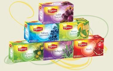 Lipton Turkish Camomile Apple Blackberry Rosehip Linden Mint Tea 20