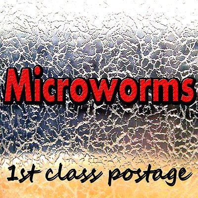 Live Fish Fry Food [Microworms culture] Microworm micro worms worm
