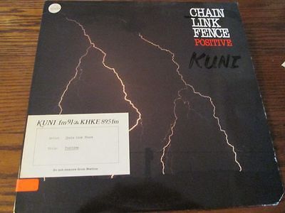 Positive By Chain Link Fence Album Record LP Descriptive Notes